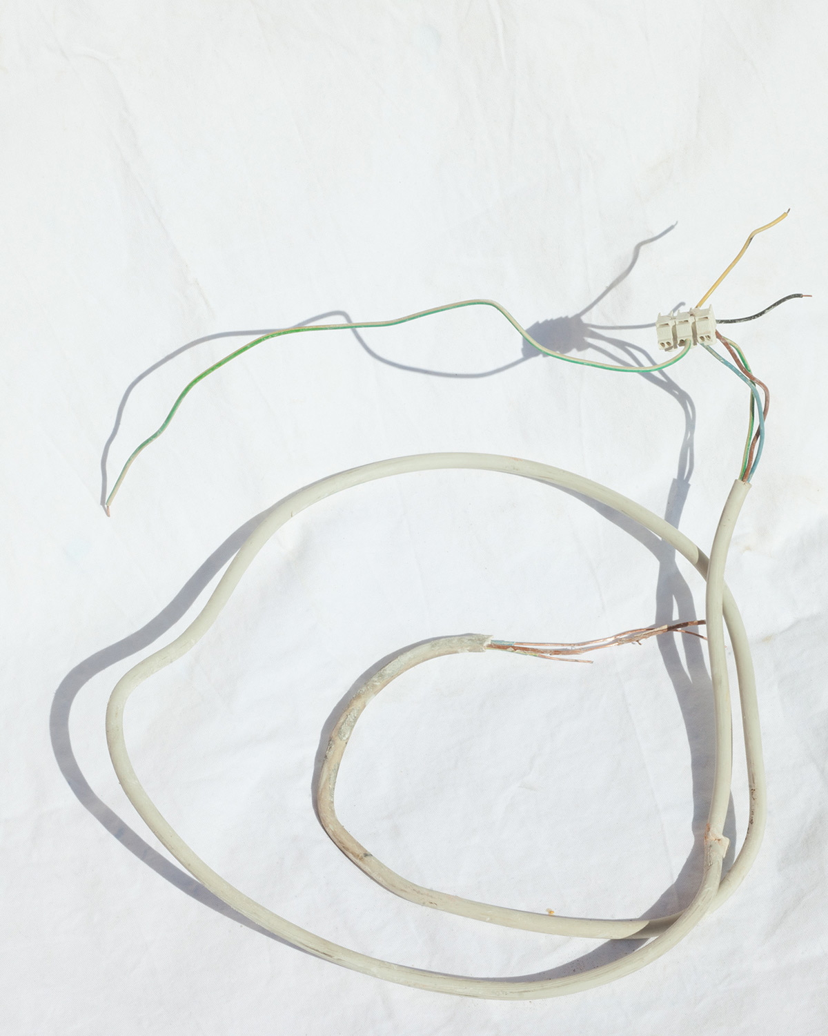 Jette Hoop photography