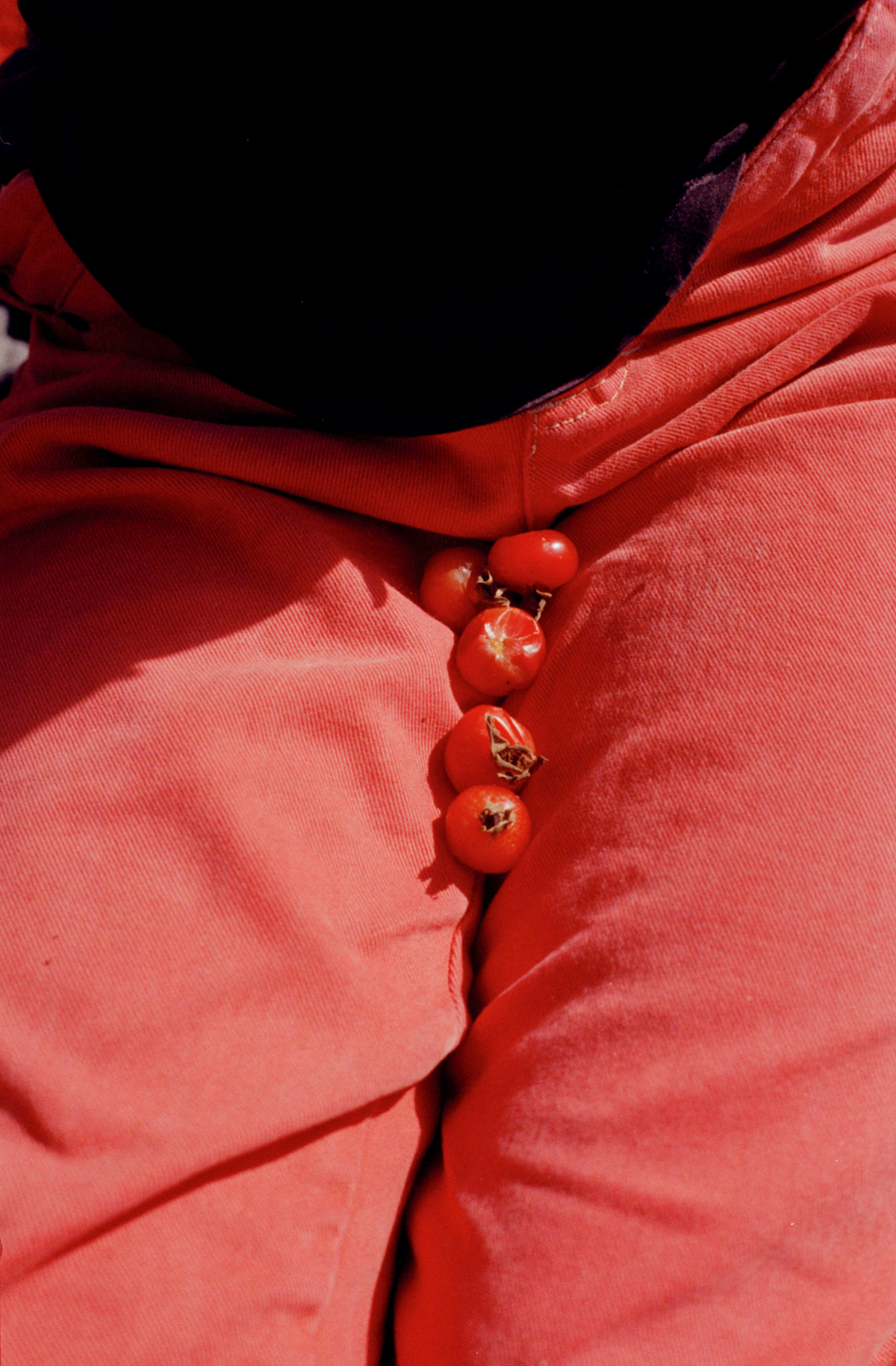 Jette Hoop photography