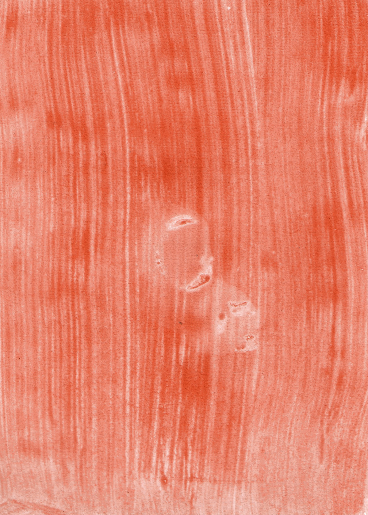 Jette Hoop photography