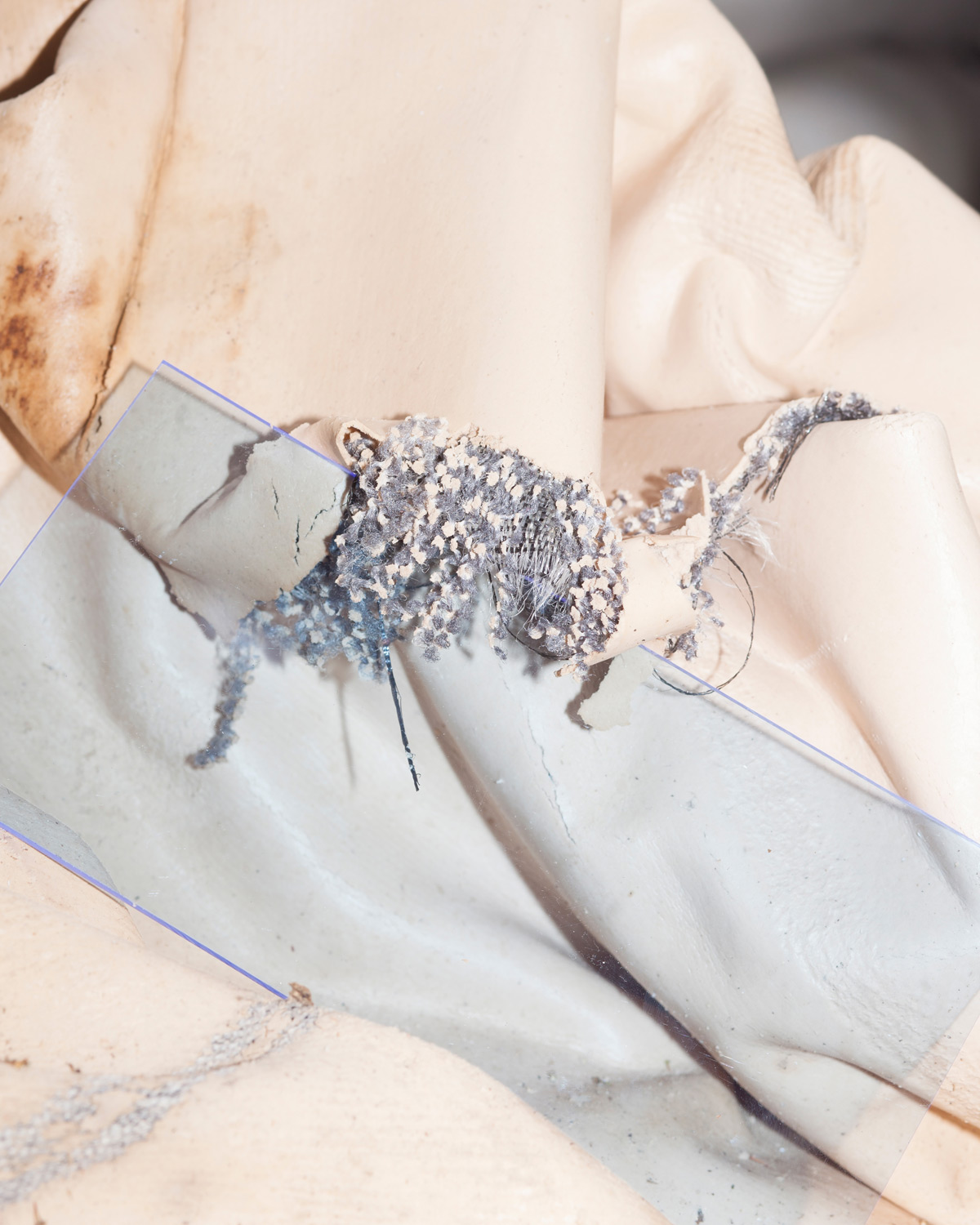 Jette Hoop photography